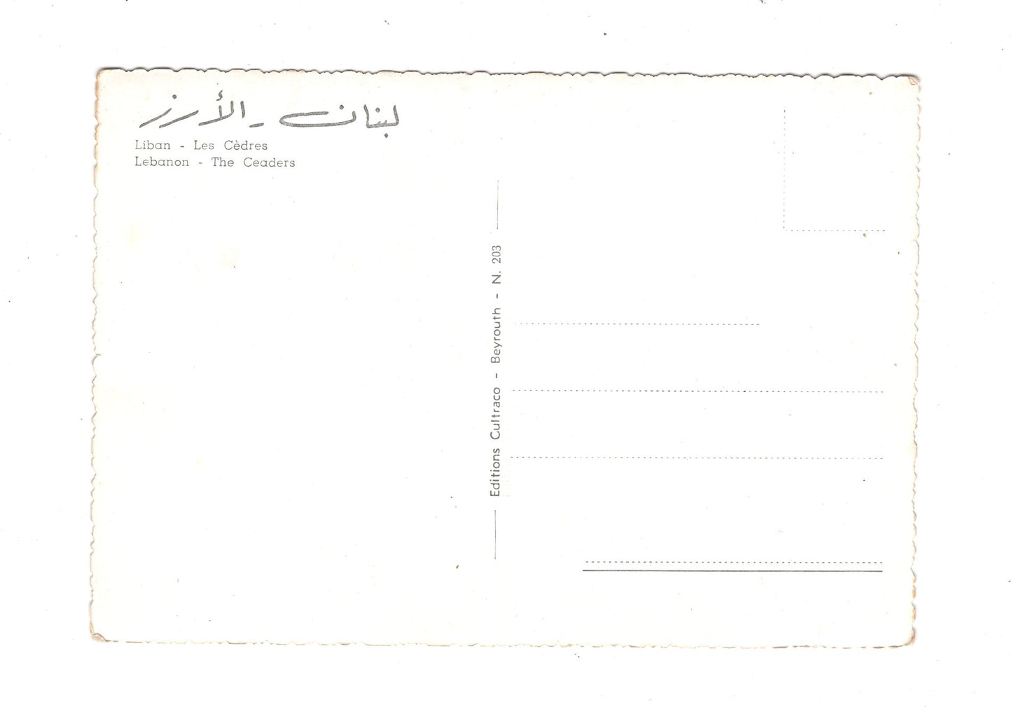 Ansichtskarte The Ceaders / Libanon