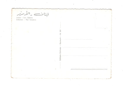 Ansichtskarte The Ceaders / Libanon