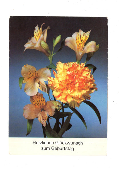 Ansichtskarte Glückwünsche / Glückwunsch zum Geburtstag / L1-61