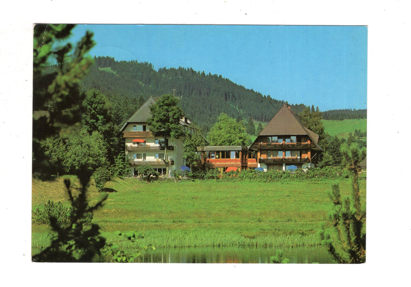 Ansichtskarte Hinterzarten / Hochschwarzwald / Hotel Reppert / J1-70