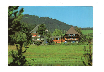 Ansichtskarte Hinterzarten / Hochschwarzwald / Hotel Reppert / J1-70