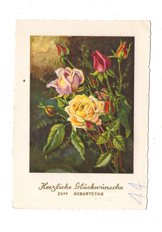 Ansichtskarte Glückwünsche / Glückwunsch zum Geburtstag / L1-61