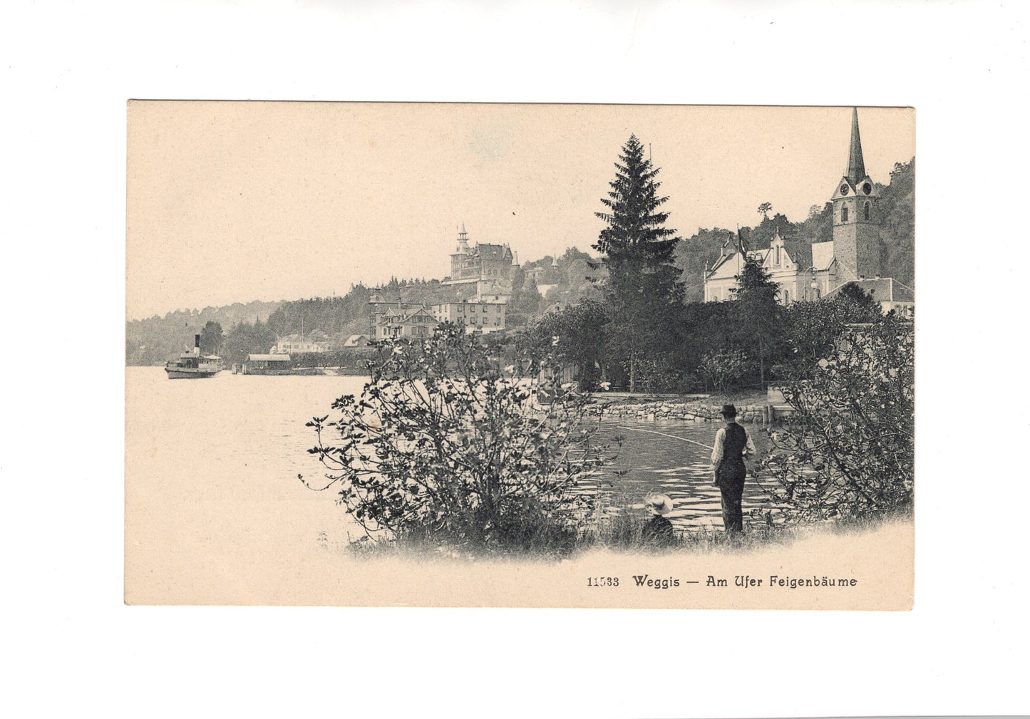 Ansichtskarte Weggis / Am Ufer Feigenbäume / Schweiz