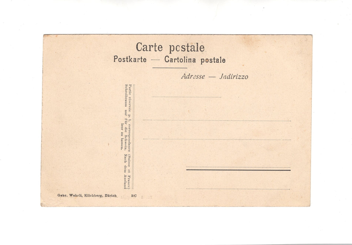 Ansichtskarte Weggis / Am Ufer Feigenbäume / Schweiz