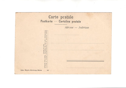 Ansichtskarte Weggis / Am Ufer Feigenbäume / Schweiz