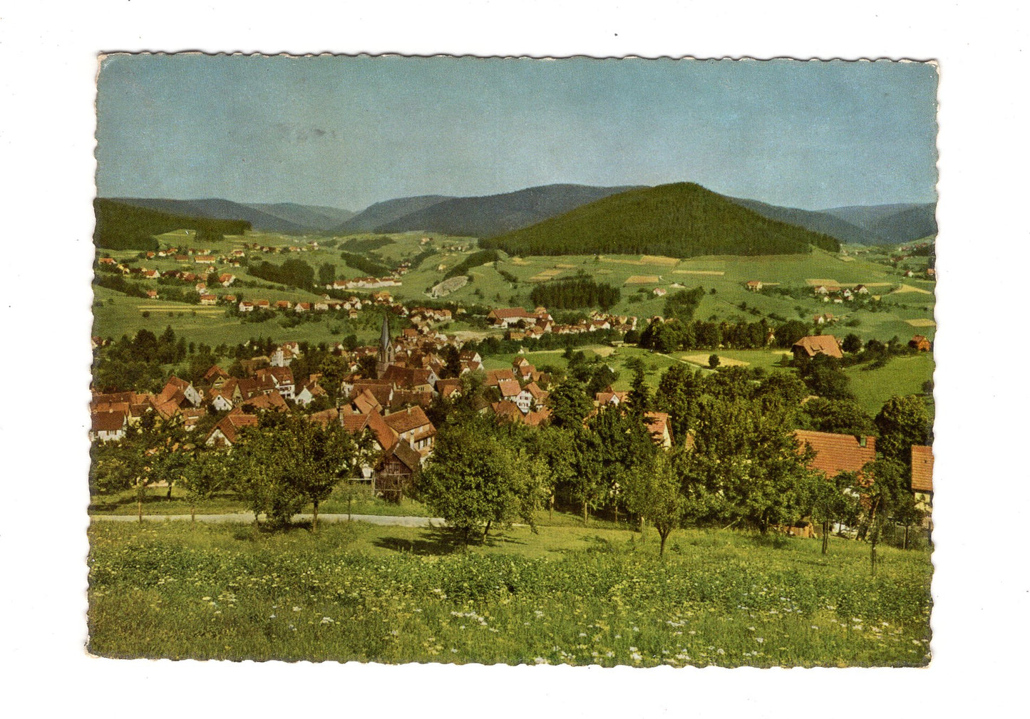 Ansichtskarte Baiersbronn / Württ. Schwarzwald