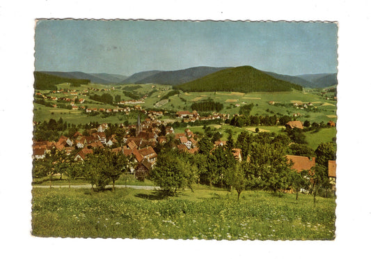 Ansichtskarte Baiersbronn / Württ. Schwarzwald