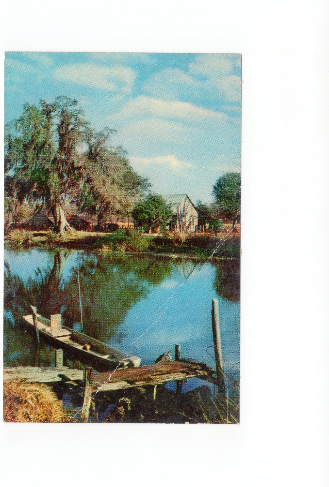 Ansichtskarte Along the Bayou / Louisiana / USA