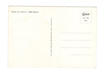 Ansichtskarte Steinhude am Meer / G1-62