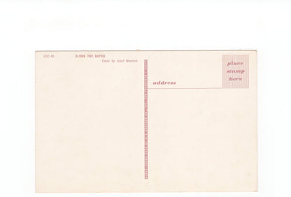 Ansichtskarte Along the Bayou / Louisiana / USA