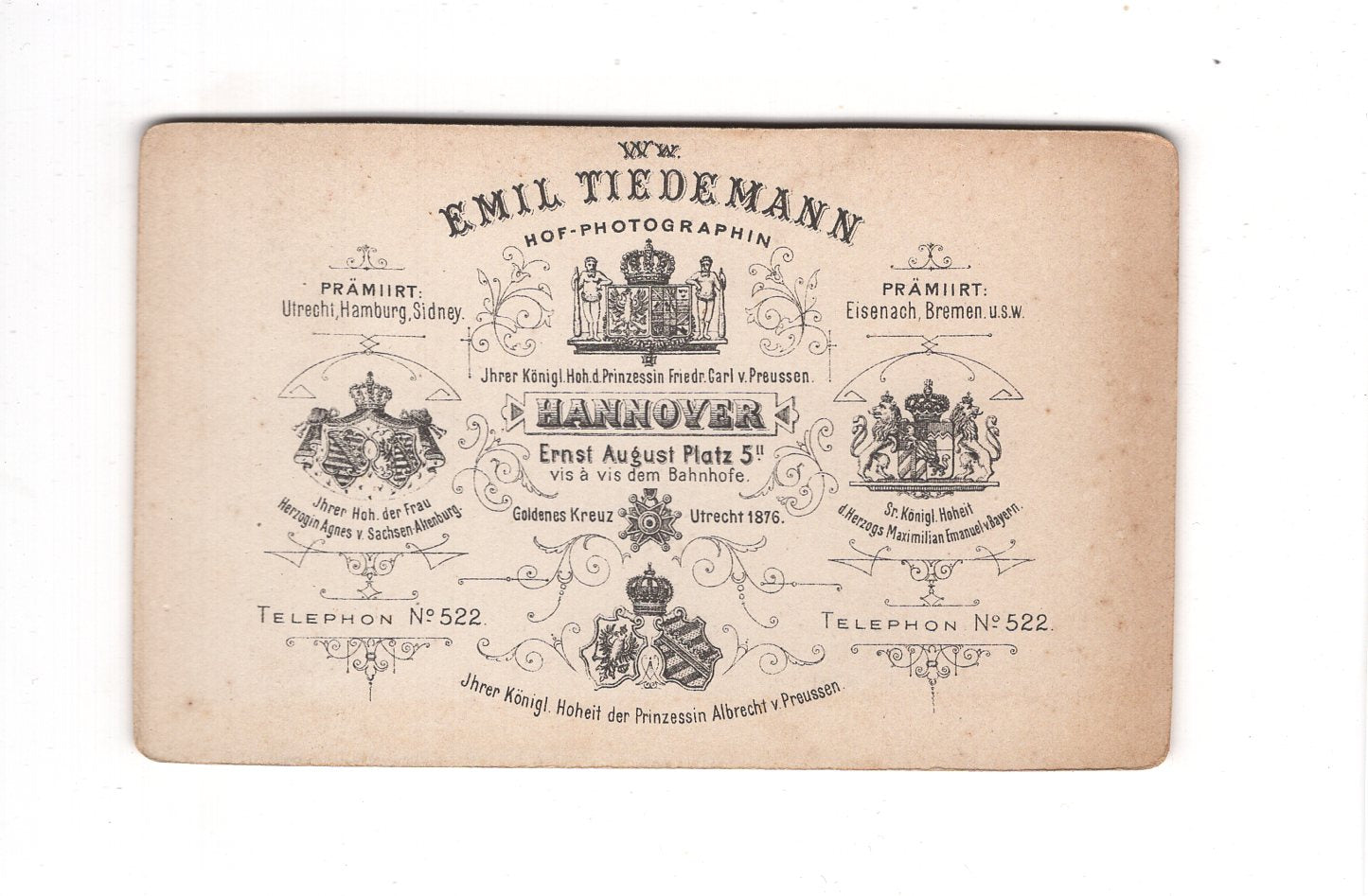 Fotografie Damenportrait - Hannover 1890er / CDV C1-08