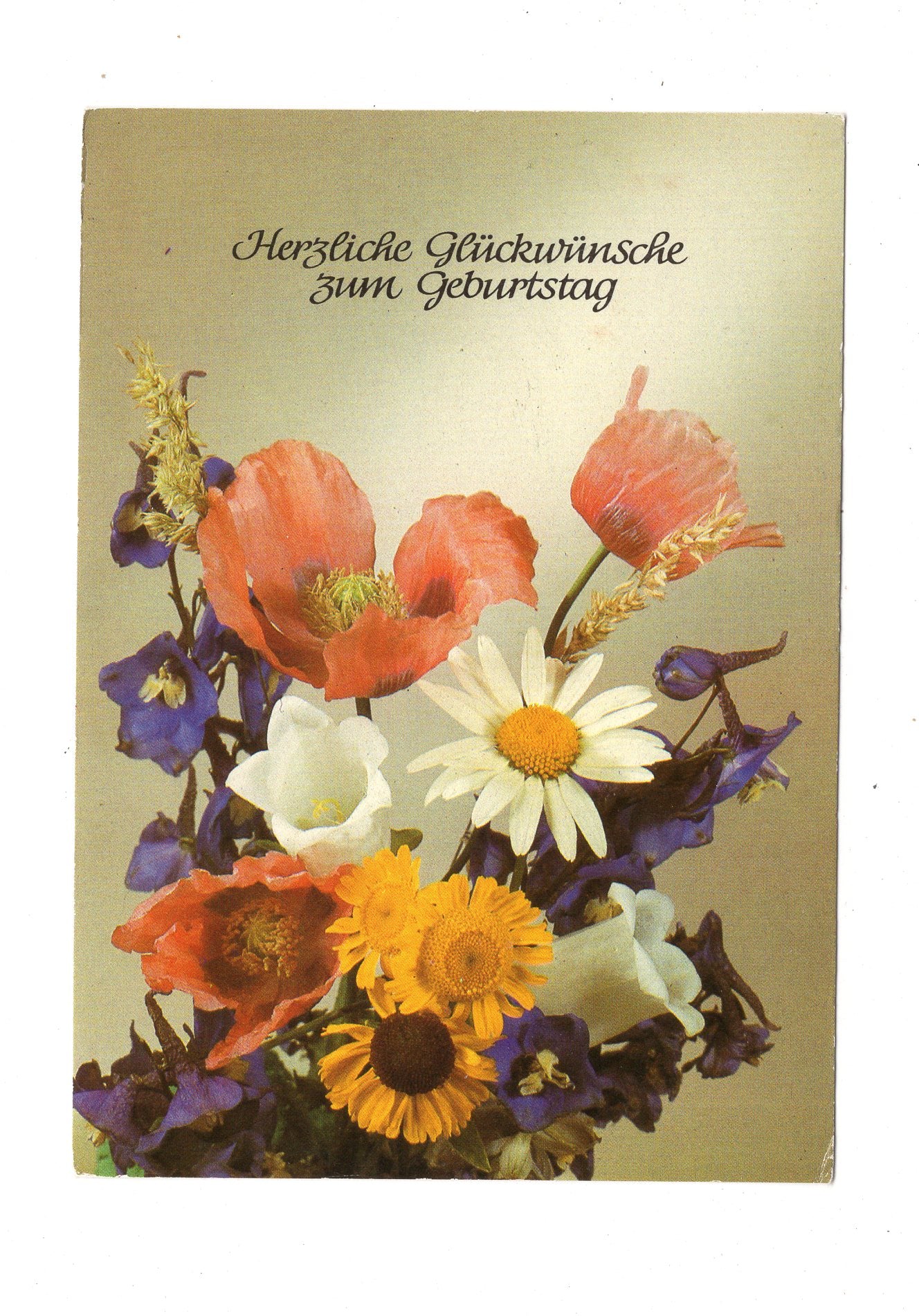 Ansichtskarte Glückwünsche / Glückwunsch zum Geburtstag / L1-61