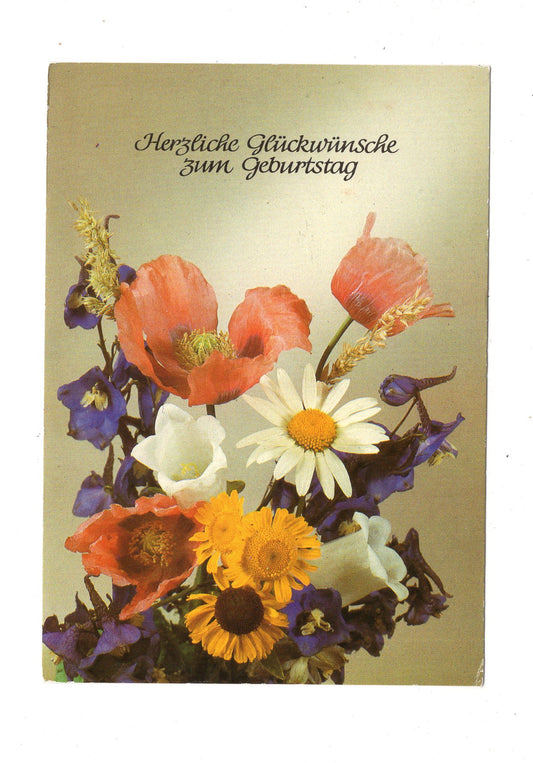Ansichtskarte Glückwünsche / Glückwunsch zum Geburtstag / L1-61