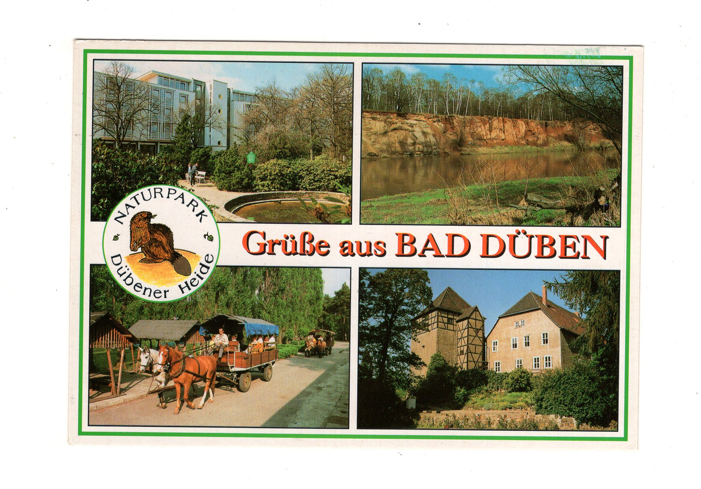 Ansichtskarte Bad Düben / Kurklinik / Burg Düben +++
