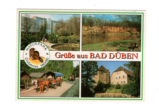 Ansichtskarte Bad Düben / Kurklinik / Burg Düben +++