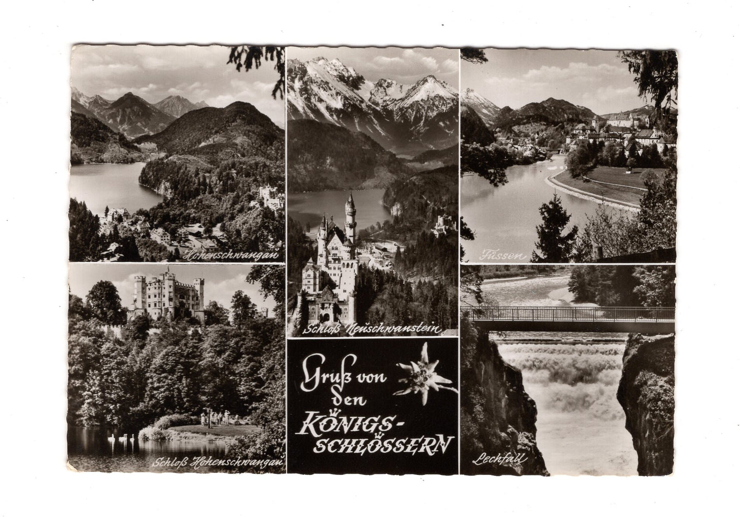 Ansichtskarte Gruß von den Königsschlössern / Hohenschwangau +++