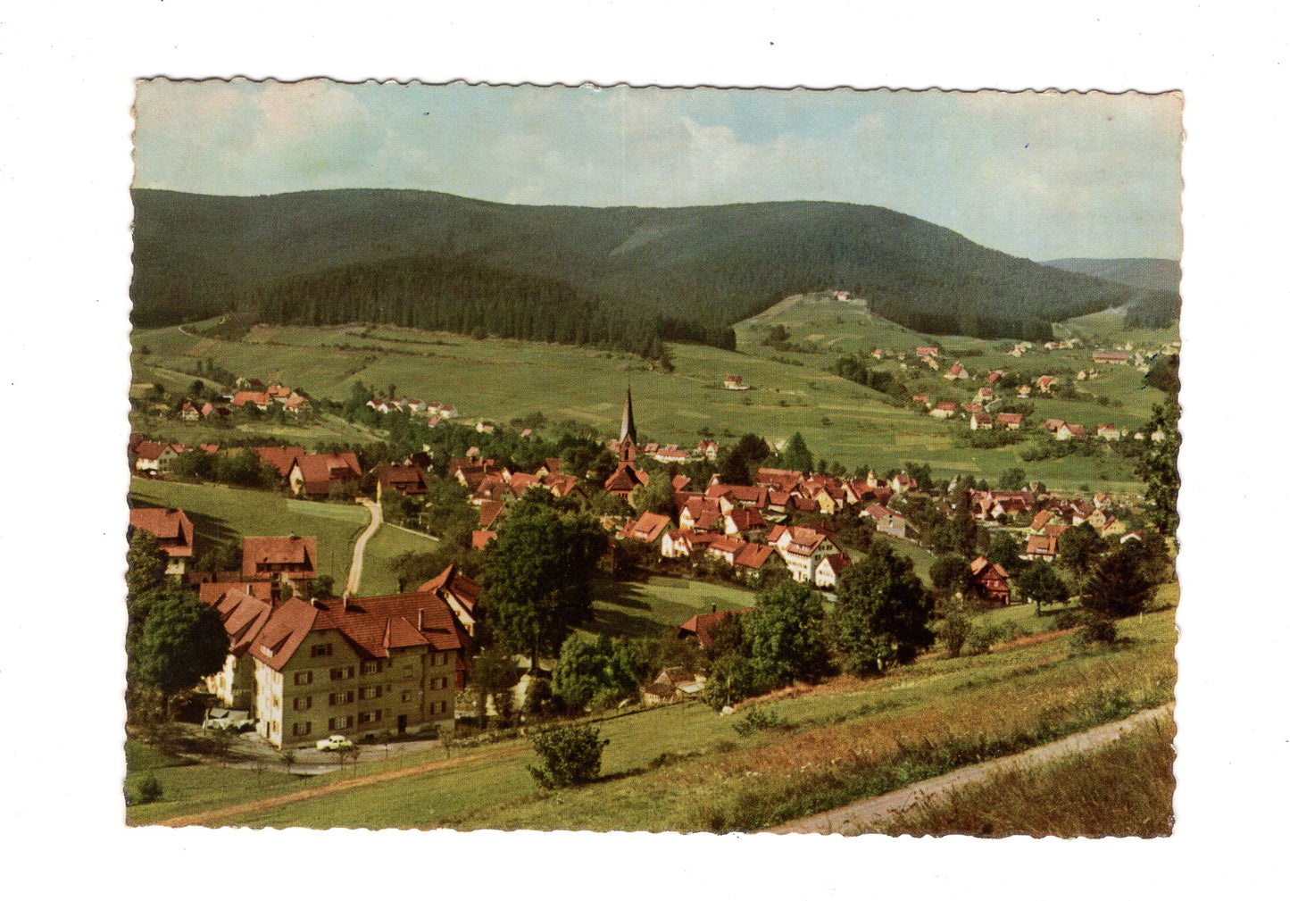 Ansichtskarte Baiersbronn / Württ. Schwarzwald