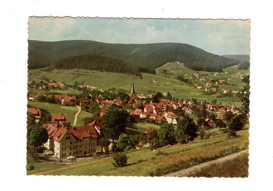 Ansichtskarte Baiersbronn / Württ. Schwarzwald
