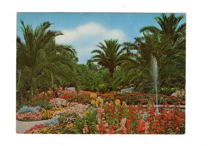 Ansichtskarte Bad Pyrmont  / Partie im Palmengarten  / I1-58