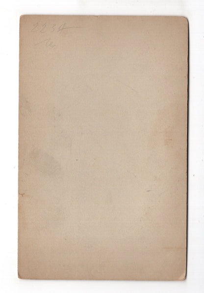 Fotografie Feine Dame - Frankfurt Main 1890er / CAB W-31