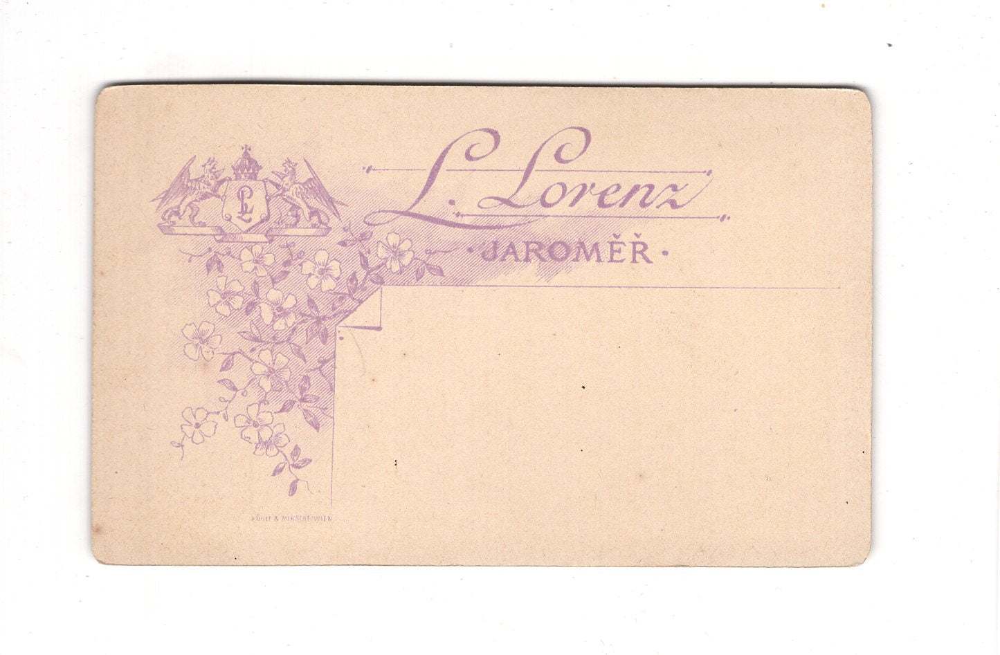 Fotografie Damenportrait - Jaromer 1894 / CDV C1-08