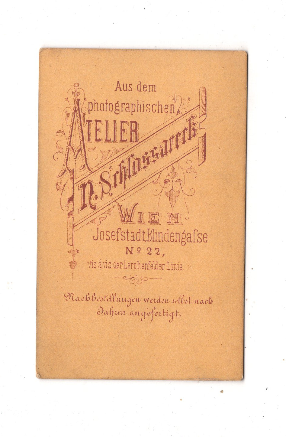Fotografie Damenportrait - Wien um 1870