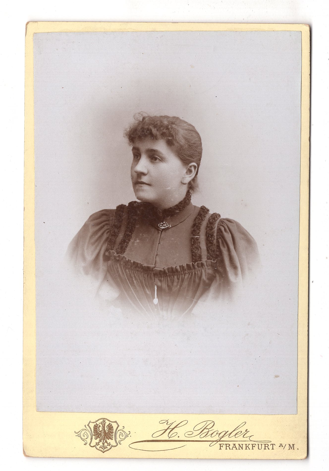 Fotografie Feine Dame - Frankfurt Main 1890er / CAB W-31