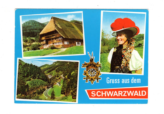 Ansichtskarte Gruß aus dem Schwarzwald / G1-63