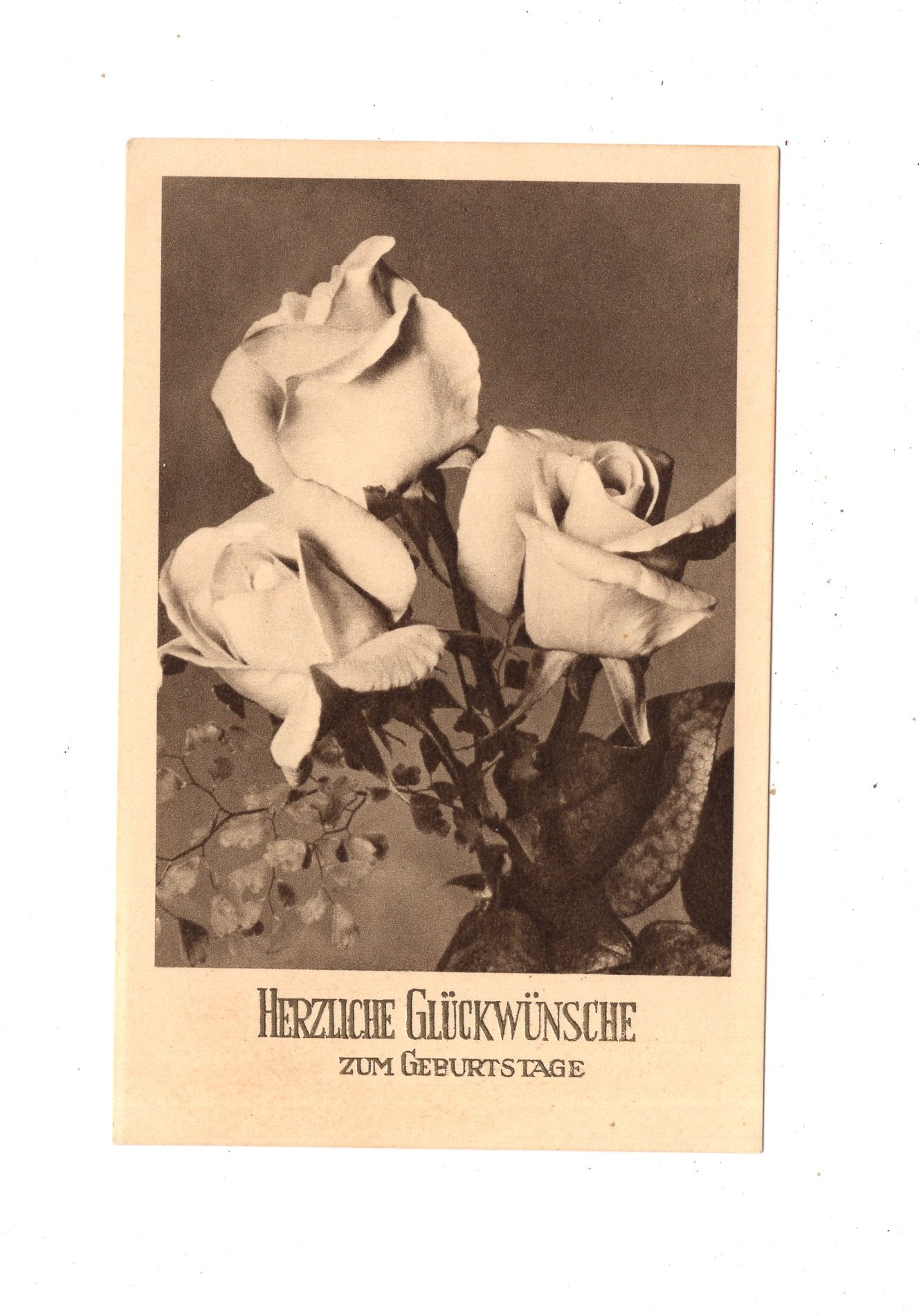 Ansichtskarte Glückwünsche / Glückwunsch zum Geburtstag / L1-61