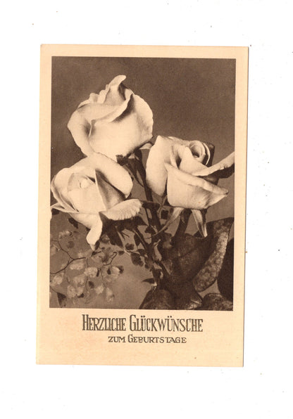 Ansichtskarte Glückwünsche / Glückwunsch zum Geburtstag / L1-61