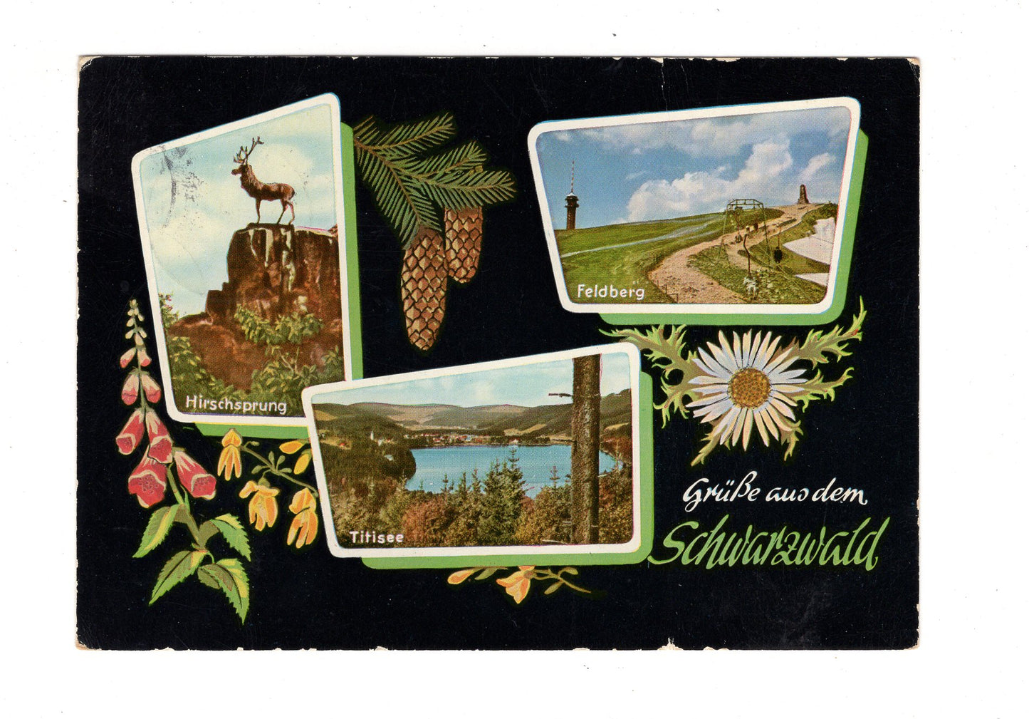 Ansichtskarte Grüße aus dem Schwarzwald / G1-63