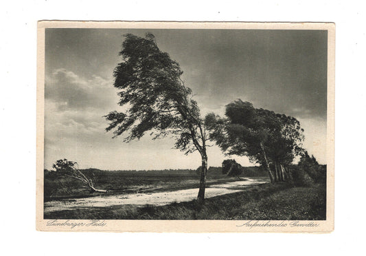 Ansichtskarte Lüneburger Heide / Aufziehendes Gewitter