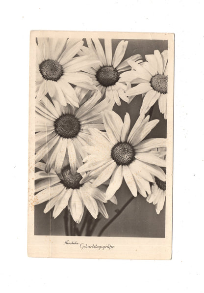 Ansichtskarte Glückwünsche / Glückwunsch zum Geburtstag / L1-61