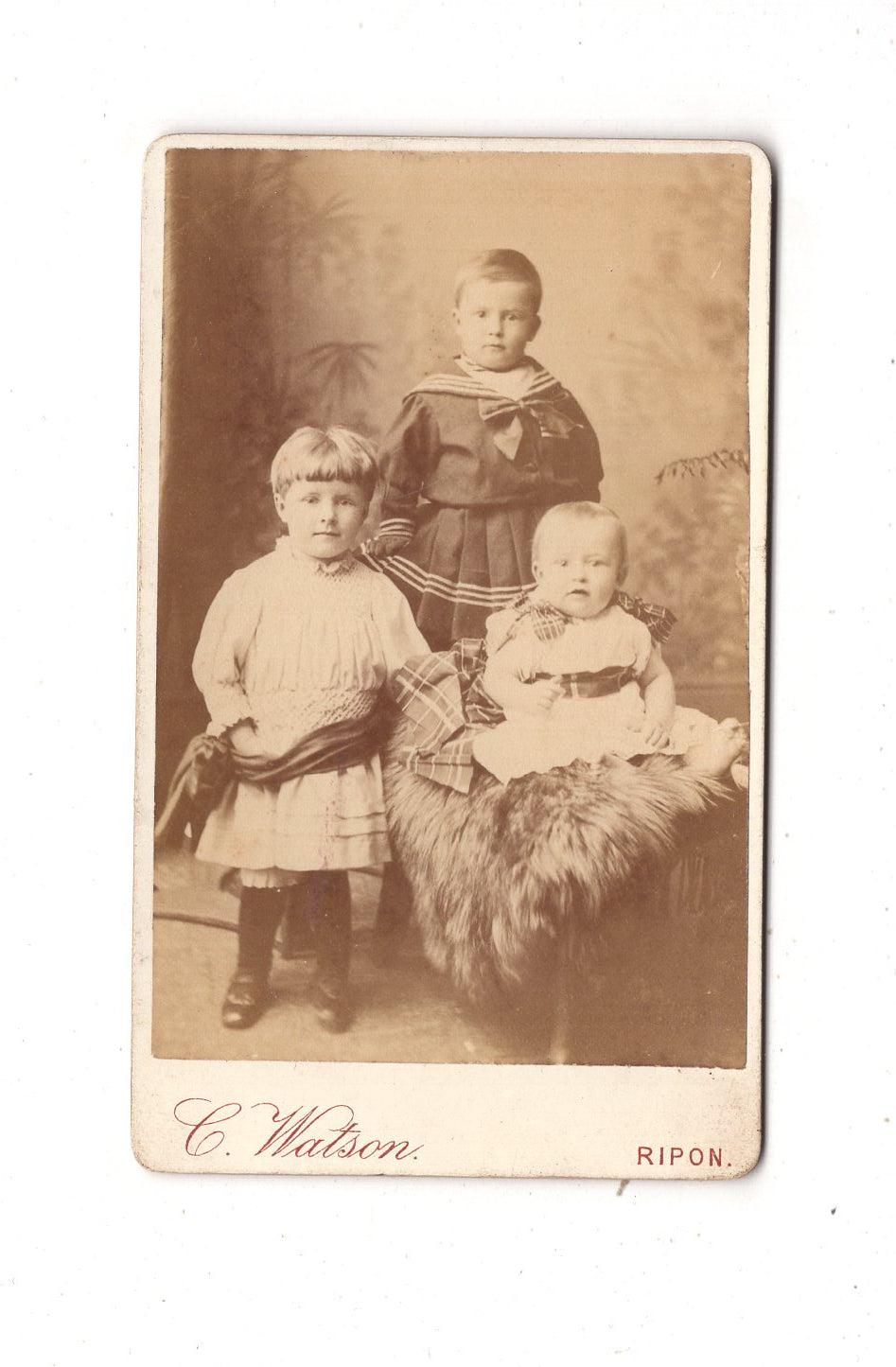 Fotografie Niedliche kleine Kinder - Ripon 1880er / CDV M1-11