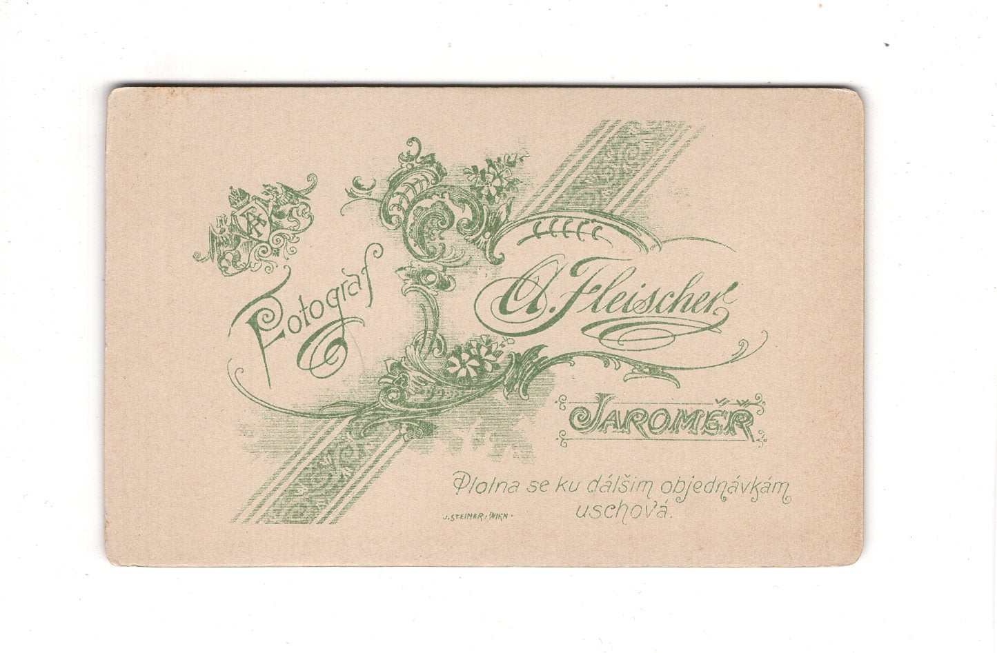 Fotografie Damenportrait - Jaromer 1890er / CDV C1-08