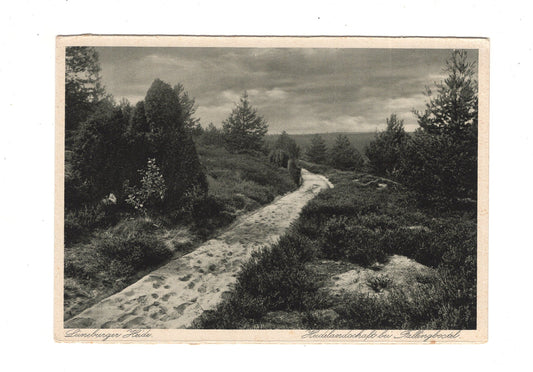 Ansichtskarte Lüneburger Heide / Heidelandschaft bei Fallingbostel