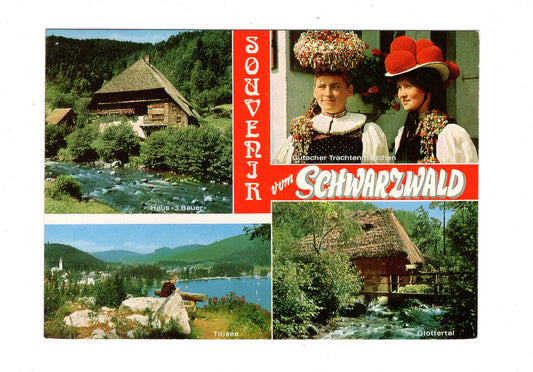 Ansichtskarte Souvenir vom Schwarzwald / G1-63