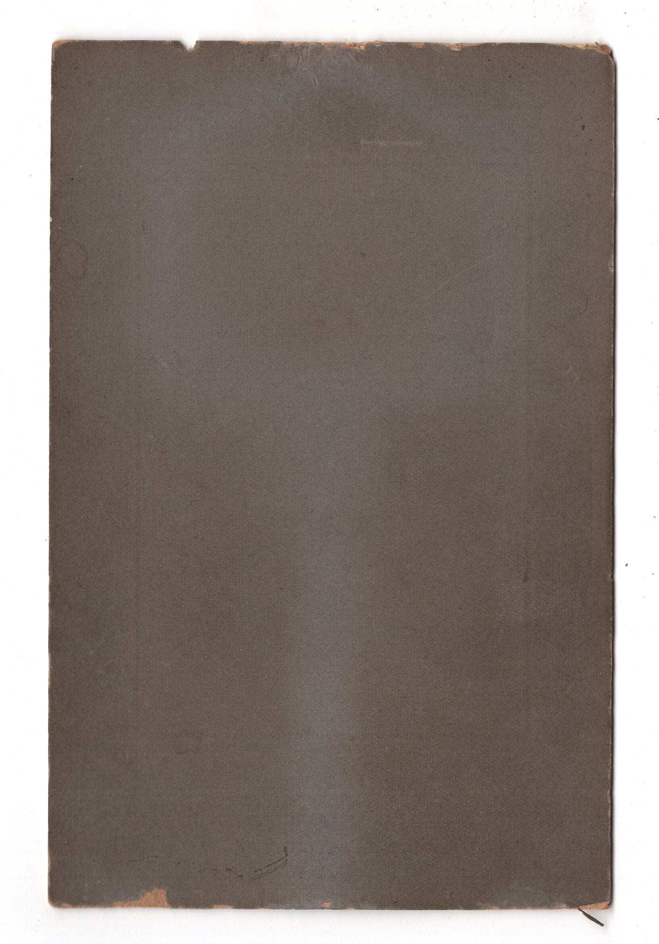 Fotografie Niedliches kleines Mädchen - Solingen um 1910