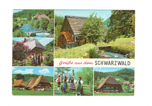 Ansichtskarte Grüße aus dem Schwarzwald / G1-63