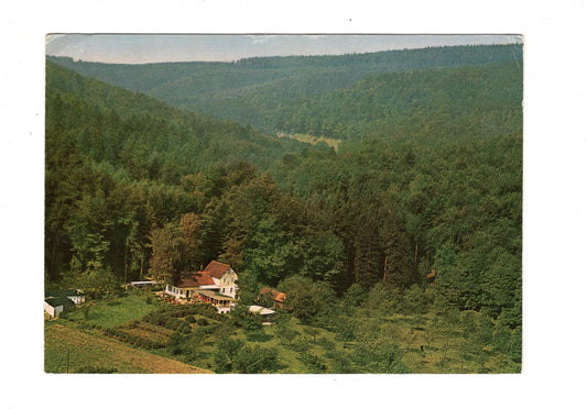 Ansichtskarte Kaffee-Restaurant Langer Grund / Bad Pyrmont / H1-59