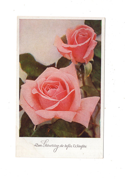 Ansichtskarte Glückwünsche / Glückwunsch zum Geburtstag / L1-61