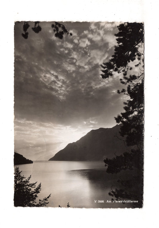 Ansichtskarte Am Vierwaldstättersee / Schweiz