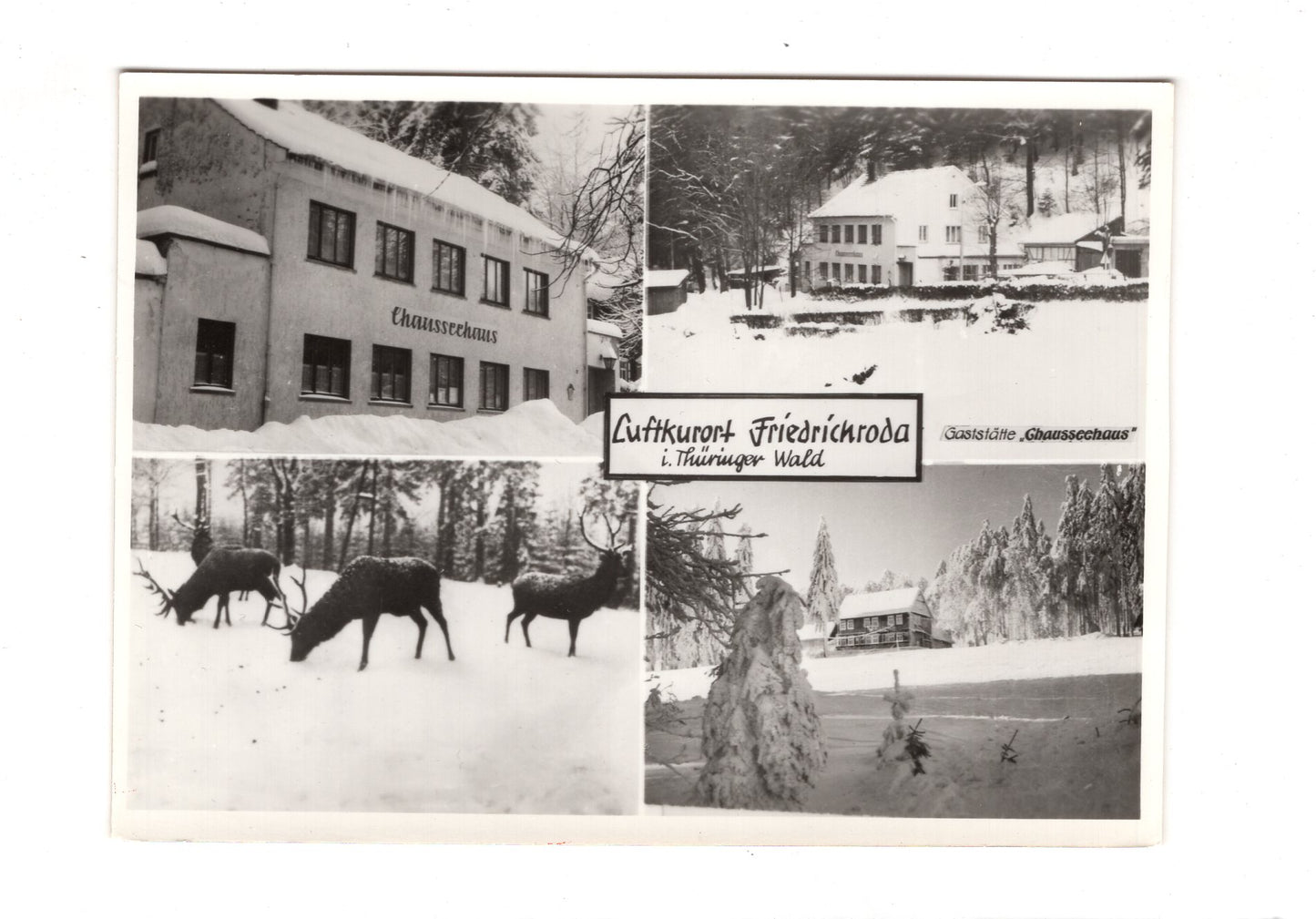Ansichtskarte Friedrichroda im Thüringer Wald  / I1-58