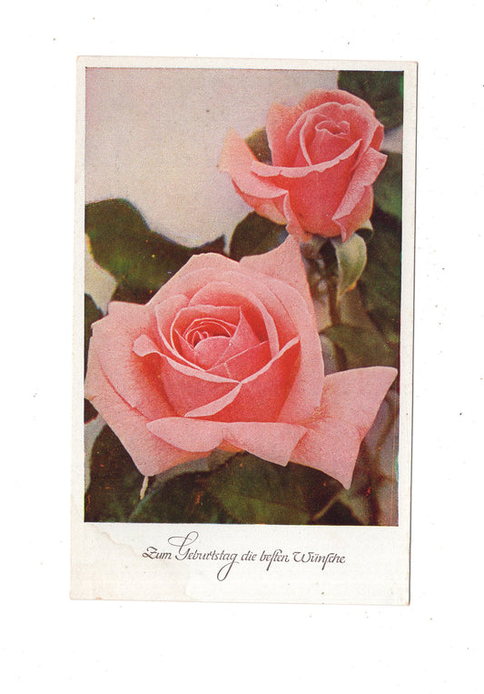 Ansichtskarte Glückwünsche / Glückwunsch zum Geburtstag / L1-61