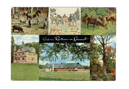 Ansichtskarte Gruß vom Rasthaus im Spessart / Rohrbrunn über Aschaffenburg / H1-59