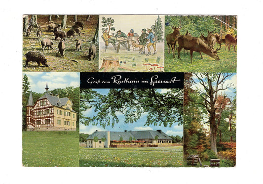 Ansichtskarte Gruß vom Rasthaus im Spessart / Rohrbrunn über Aschaffenburg / H1-59