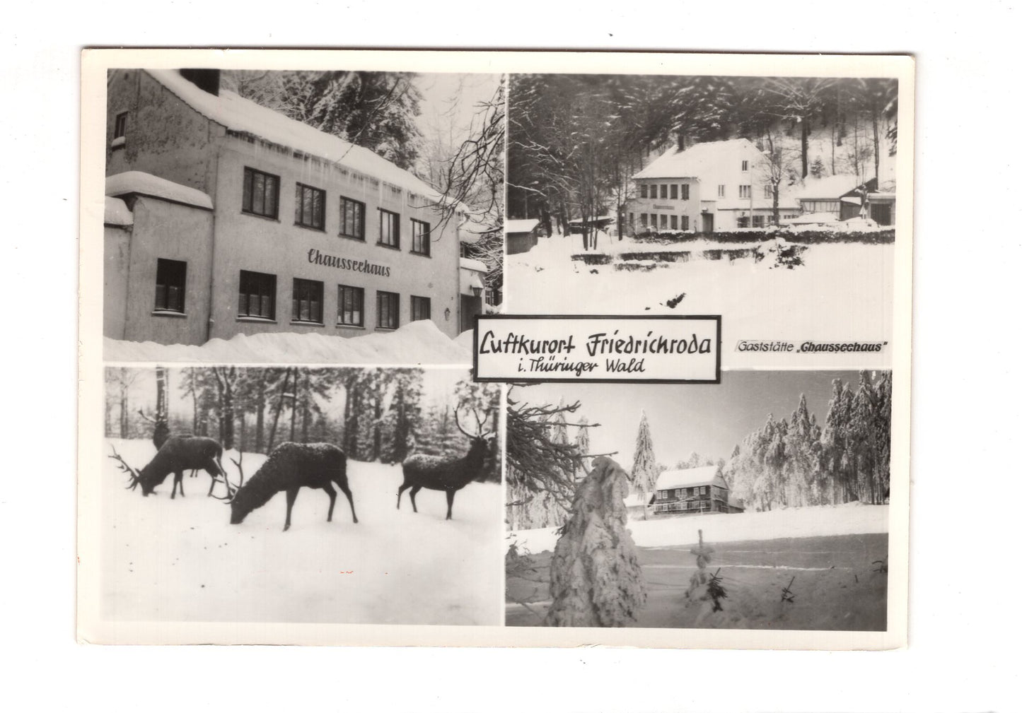 Ansichtskarte Friedrichroda im Thüringer Wald  / I1-58