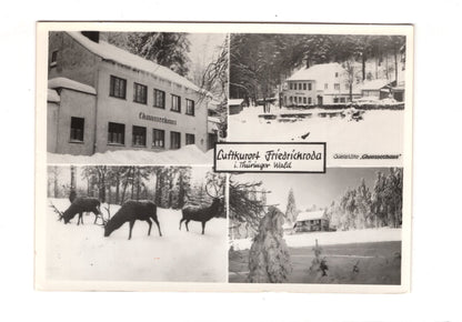 Ansichtskarte Friedrichroda im Thüringer Wald  / I1-58