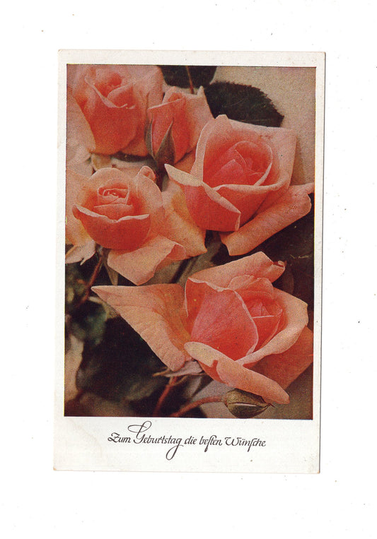 Ansichtskarte Glückwünsche / Glückwunsch zum Geburtstag / L1-61