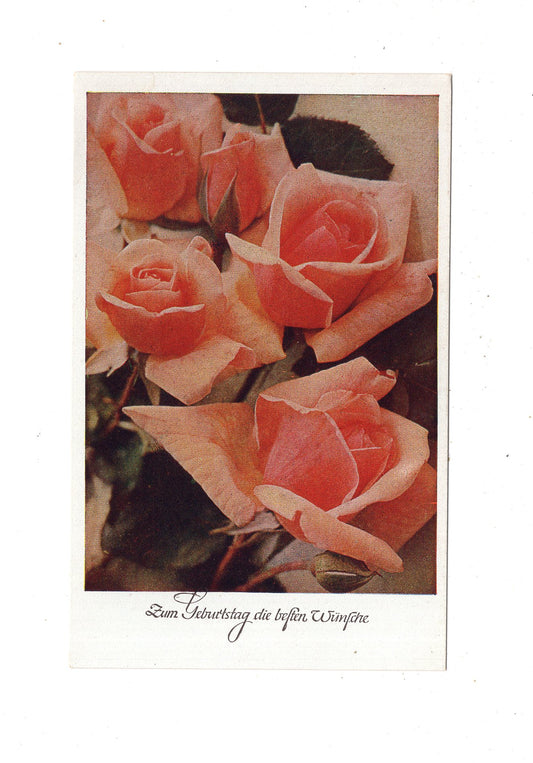 Ansichtskarte Glückwünsche / Glückwunsch zum Geburtstag / L1-61